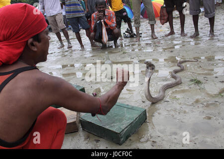 Mann spielt mit Schlange, Bishnupur, Westbengalen, Indien, Asien Stockfoto