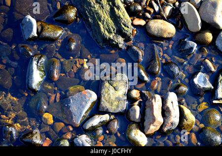 Kiesel im Planschbecken Stockfoto