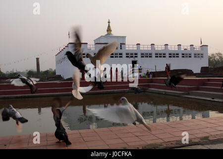 Maya Devi Tempel, Lumbini, Nepal Stockfoto