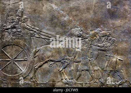 Die königliche Löwen jagen König Assurbanipals aus Nord-Palast von Ninive 645-635 v. Chr. Mesopotamien Irak Assyrien (König Assurbanipal oder Ashshurbanipal, Sohn von Esarhaddon und der letzte starke König des neuassyrischen Reiches (934 – 609 v. Chr.) Details Stockfoto