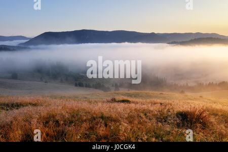 Landschaft mit Sonne, Wiese, Wald und Gebirge. Stockfoto