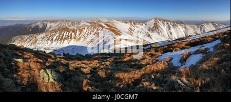 Panorama des Berges in der Niederen Tatra Slowakei Stockfoto