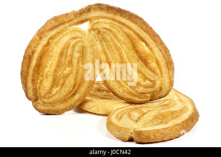 Palmiers isoliert auf weißem Hintergrund Stockfoto