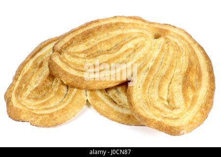 Palmiers isoliert auf weißem Hintergrund Stockfoto