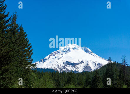 Blick auf den Schnee begrenzt Gipfel des Mt. Hood steigt über Mount Hood National Forest Stockfoto