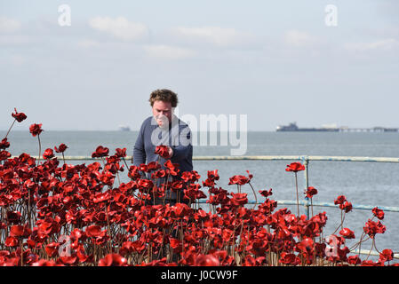 Mohnblumen: Welle ist einer von zwei Teilen der Kunstinstallation „Blood Swept Lands and Seas of Red“. Der Künstler des Werkes Paul Cummins eröffnete heute die Wave-Sektion am Barge Pier in Shoeburyness, Essex, Großbritannien Stockfoto