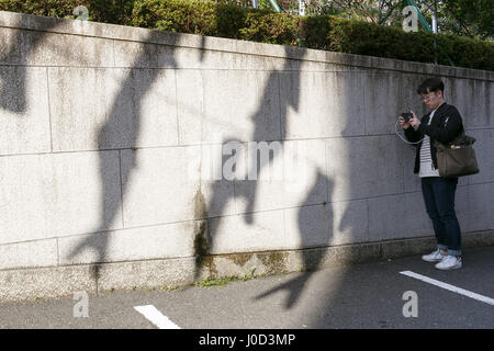 Tokio, Japan. 12. April 2017. Ein Mann nimmt ein Bild von Karpfen-förmigen Koinobori Windsäcke Schatten am Tokyo Tower am 12. April 2017, Tokio, Japan. In diesem Jahr feiert Tokyo Tower Kindertag, die am 5. Mai mit einem Display von Hunderten von bunten Koinobori fällt. Karpfen sind überlegen, stark und energisch in der Natur und den Koinobori Streamer werden traditionell von Familien mit jungen angezeigt. Das Event läuft bis zum 7. Mai. Bildnachweis: Rodrigo Reyes Marin/AFLO/Alamy Live-Nachrichten Stockfoto