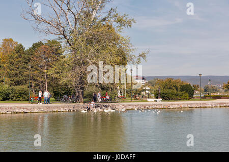 KESZTHELY, Ungarn - 29. September 2016: Menschen ernähren, wilde Enten und Schwäne am Ufer des Balaton-Sees. Keszthely, die älteste und größte Stadt in der Stockfoto