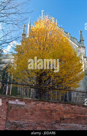 St. Marien Kirche, Lace Market, Nottingham, England, Vereinigtes Königreich. Stockfoto