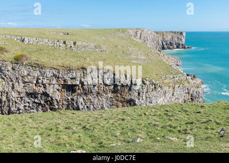 Felsige Küste von Pembrokeshire in der Nähe von Barafundle Bucht in Wales Stockfoto