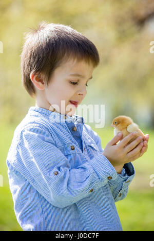 Süße niedliche Kind, Vorschule junge, Spiel mit kleinen Neugeborenen Küken im Park, Frühling Stockfoto