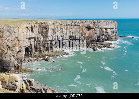 Felsige Küste von Pembrokeshire in der Nähe von Barafundle Bucht in Wales Stockfoto