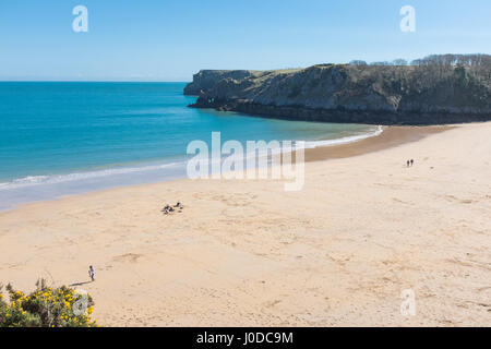 Barafundle Bay Beach in Pembrokeshire, Wales Stockfoto