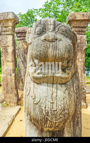 Die gut erhaltenen geschnitzten Löwen an die archäologische Stätte von Nissanka Malla König Palast, Polonnaruwa, Sri Lanka. Stockfoto