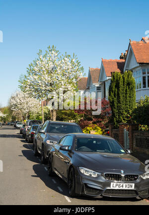 Grünen, ruhigen Vorortstraßen in Barnes, SW-London, England, UK Stockfoto