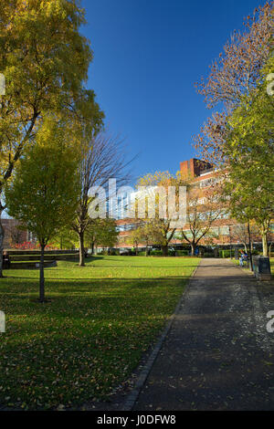 Manchester Metropolitan University (inc Business School, Jura und Kenneth Green Library) aus allen Heiligen Park, Manchester, Gtr Manchester, UK Stockfoto