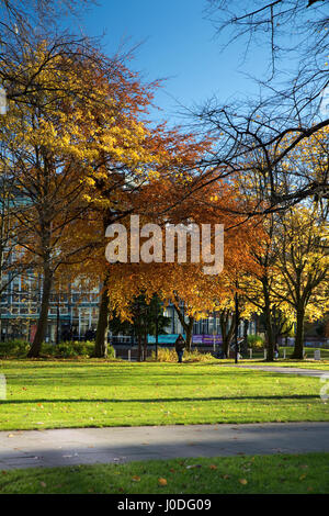 Manchester Metropolitan University (inc Business School, Jura und Kenneth Green Library) aus allen Heiligen Park, Manchester, Gtr Manchester, UK Stockfoto