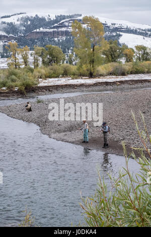 Weibliche Angelguide anweist, eine Frau und ein Mann über das Fliegenfischen in Soda Butte Creek im Yellowstone-Nationalpark, Wyoming, USA Stockfoto