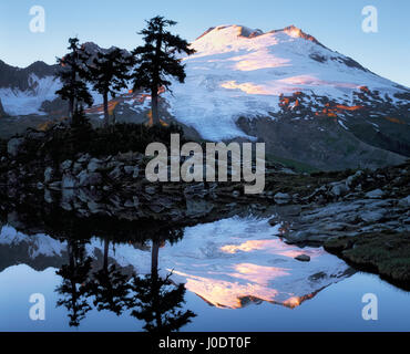 Am Abend Alpenglühen auf Washingtons Mt Baker in diesem kleinen Tarn entlang Park Butte widerspiegelt. Stockfoto