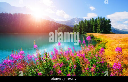 Erstaunliche sonniger Tag am Champferersee See in den Schweizer Alpen. Silvaplana-Dorf, Schweiz, Europa. Stockfoto