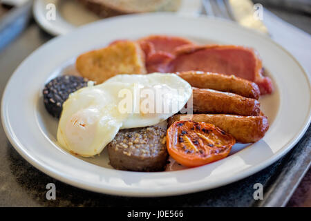 Irisches Frühstück, Pudding, Ei, Würstchen, Speck, Hash Brown, Tomate Full Irish breakfast, Pudding, Ei, Tomate, Würstchen, Speck, Rösti Stockfoto