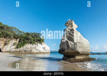 Felsformation am Strand in der Nähe von Cathedral Cove, Mercury Bay, Coromandel Peninsula, Nordinsel, Neuseeland Stockfoto