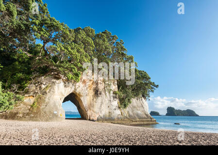 Bucht Cathedral Cove mit natürlicher Bogen, Mercury Bay, Coromandel Halbinsel, Nordinsel, Neuseeland Stockfoto