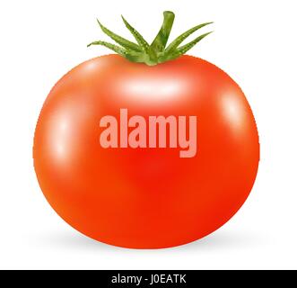 echte 3d Tomaten auf weißem Hintergrund Stock Vektor