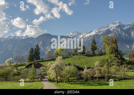 Das Zillertal ("Zillertal") entwässert ein Tal in Tirol in Österreich vom Fluss Ziller das breiteste Tal südlich von Inntal am meisten von Touristen besuchten Stockfoto