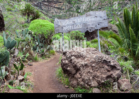 MASCA, Teneriffa, Spanien - ca. Januar 2016: Spanische Inschrift ist auf Holzplatte auf dem Wanderweg durch die Schlucht von Masca. Masca-Schlucht ist ein berühmter Stockfoto