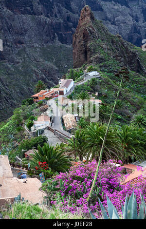 MASCA, Teneriffa, Kanarische, Spanien - ca. Januar 2016: Schöne und bunte Palmen und Pflanzen sind in Masca. Dorf Masca ist ein berühmter touristischer Ort wi Stockfoto