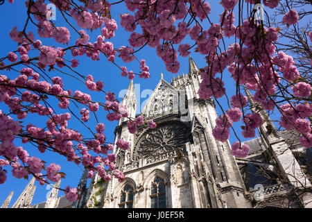 Kirche von St. Ouen, Rouen, mit Kirschblüten im Vordergrund Stockfoto