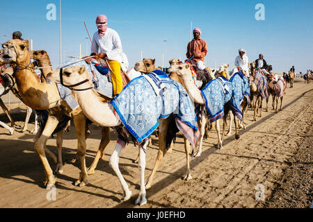 Kamelrennen Jockeys abgebildet auf dem Kamel Rennstrecke am Al-Shahaniyya in Katar. Stockfoto