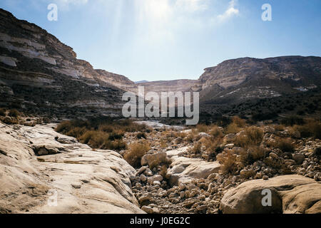 Der Negev-Wüste ist eine Wüstenregion befindet sich im Süden Israels und deckt mehr als die Hälfte des israelischen Territoriums. Stockfoto