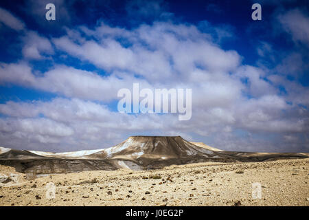 Der Negev-Wüste ist eine Wüstenregion befindet sich im Süden Israels und deckt mehr als die Hälfte des israelischen Territoriums. Stockfoto