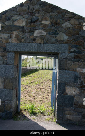 Die Reste eines größeren Tomaten Gewächshaus Farmen im Norden von Guernsey auf den Kanalinseln, Großbritannien. Guernsey hatte eine blühende Tomaten gr Stockfoto