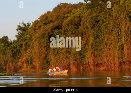 Touristen auf der Suche nach Jaguare auf Boot Safaris in Cuiabá Fluss, Pantanal von Mato Grosso, Brasilien Stockfoto