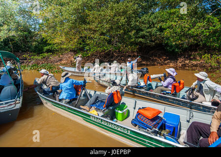 Touristen auf der Suche nach Jaguare auf Boot Safaris in Cuiabá Fluss, Pantanal von Mato Grosso, Brasilien Stockfoto