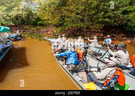 Touristen auf der Suche nach Jaguare auf Boot Safaris in Cuiabá Fluss, Pantanal von Mato Grosso, Brasilien Stockfoto