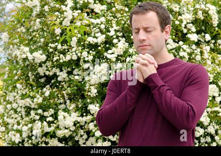 Mann, der betet im Freien mit seinen Händen vor einem blühenden Strauch mit weißen Blüten zusammen. Stockfoto