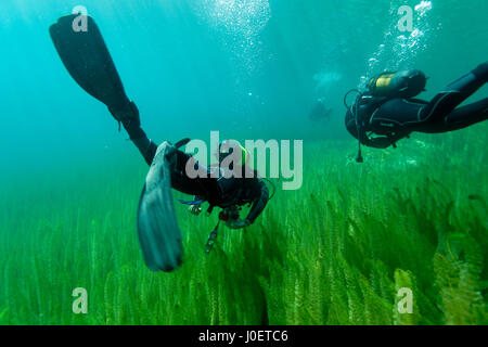 Tauchen in Plitvicer Seen, Kroatien Stockfoto