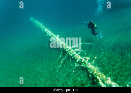 Tauchen in Plitvicer Seen, Kroatien Stockfoto