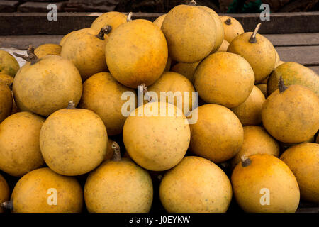 Bael Frucht, Varanasi, Uttar Pradesh, Indien, Asien Stockfoto