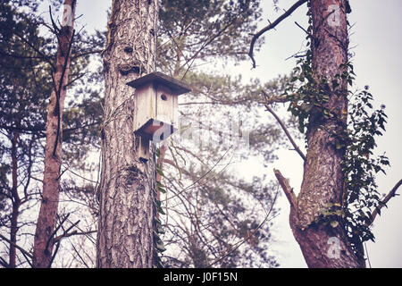 Hölzerne Vogelhäuschen auf einem Baum im Wald, Schutz für Vögel, Farbe Tönung aufgetragen, selektiven Fokus. Stockfoto