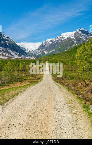 Ein lange, gerade, steinigen Weg führt den einsamen Reisenden, der Jostedalsbreen-Gletscher-Tal - Norwegen Stockfoto