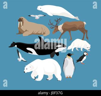 Polartiere Kreis set mit weißen Eisbären und Narwale, Wal, Rentier, Dichtung, Walross, Polarfuchs, Pinguin, Papageientaucher und Möwen Stock Vektor
