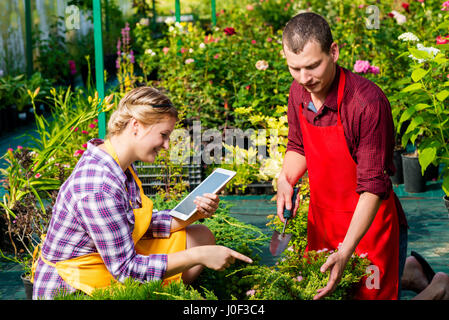 Mann und Frau arbeiten auf einer Plantage in einem Gewächshaus Stockfoto