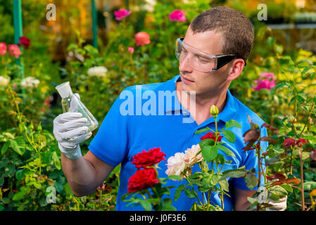 Porträt eines Biologen mit ein Biologe mit Chemikalien in einem Reagenzglas in einem Gewächshaus Stockfoto