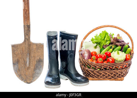 Schaufel, Gummistiefel und Korb mit einer Ernte von Gemüse auf weißem Hintergrund Stockfoto