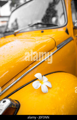 Flower-Power - Blume auf eine gelbe 70er Jahre Hippie-Oldtimer. Hippie Retro-Stil Bug oder Käfer restauriert Auto. Stockfoto